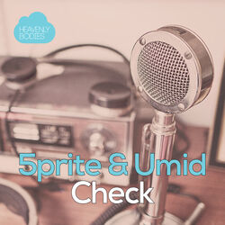 Cover of Check