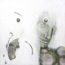 Cover of Puer