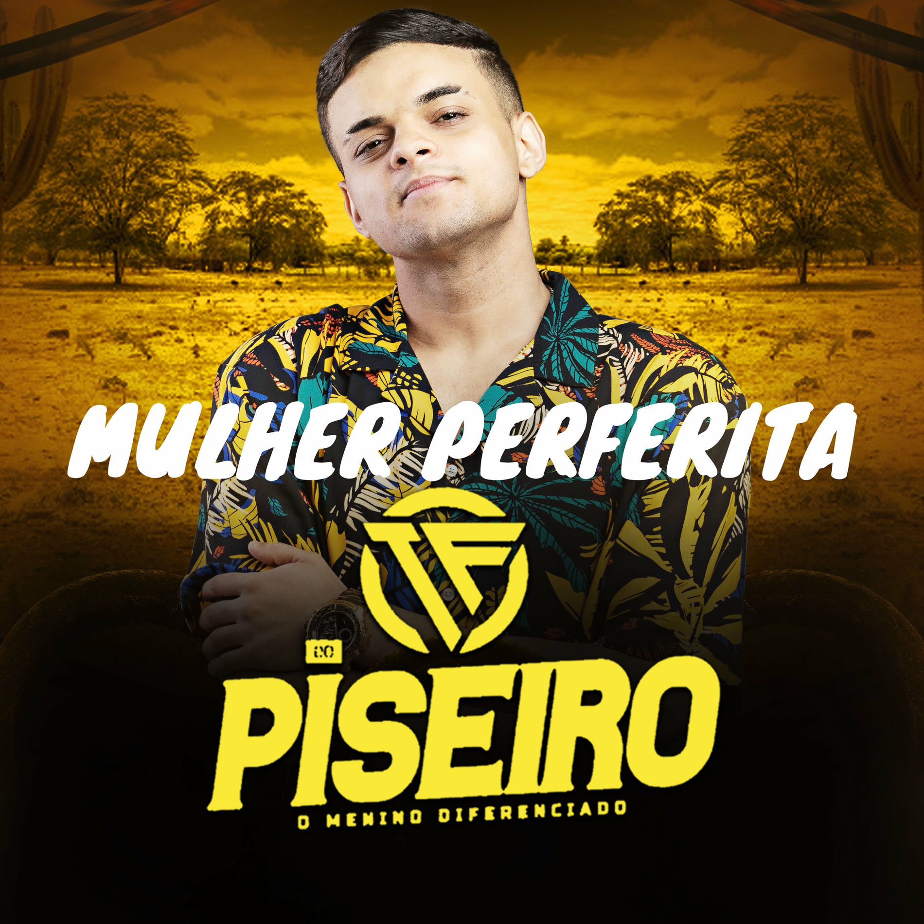 Album cover of Mulher Perfeita