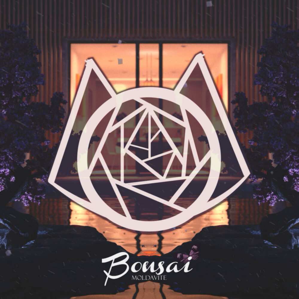 Picture of Bonsai