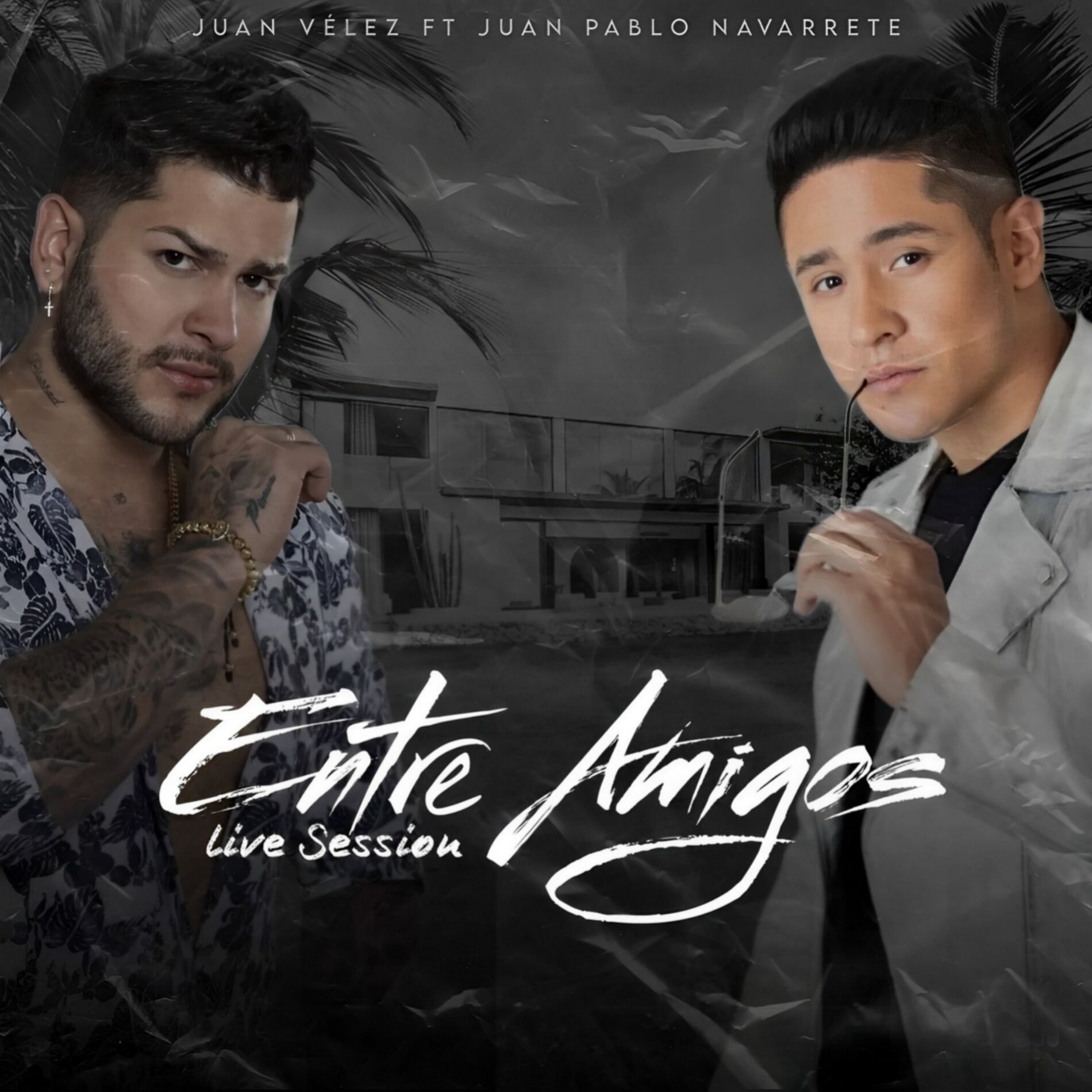 Album cover of Entre Amigos (Live)