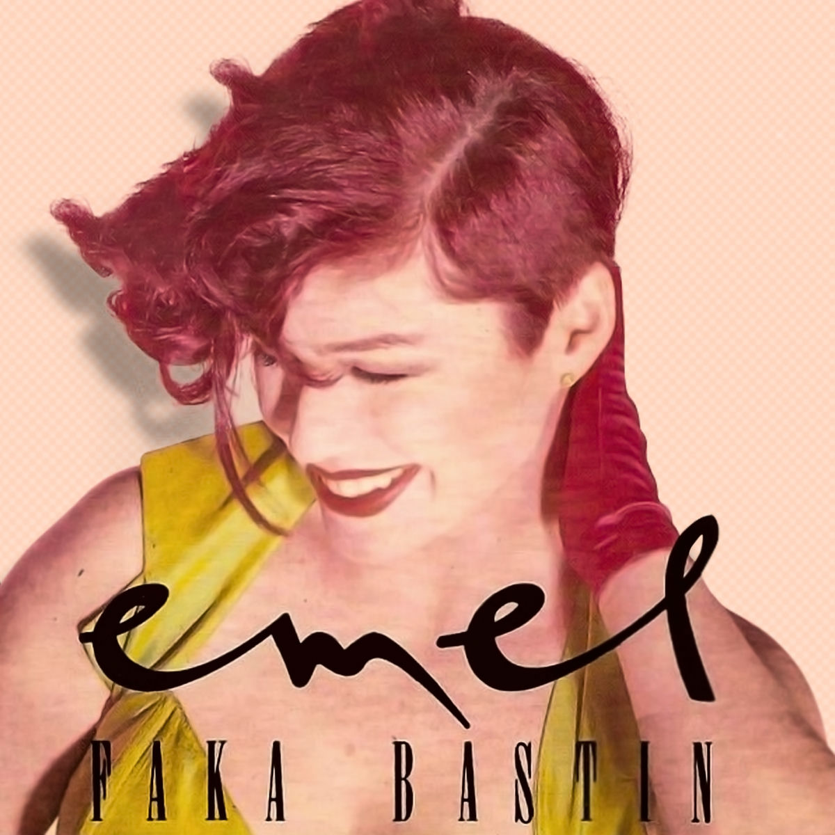 Album cover of Faka Bastın