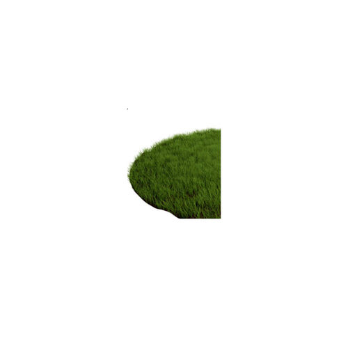 Patch a' Grass
