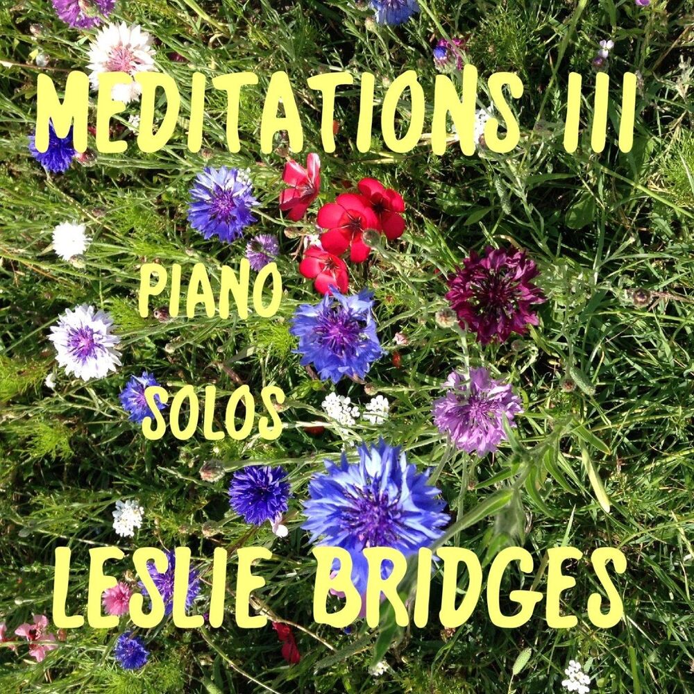 Picture of Meditations III