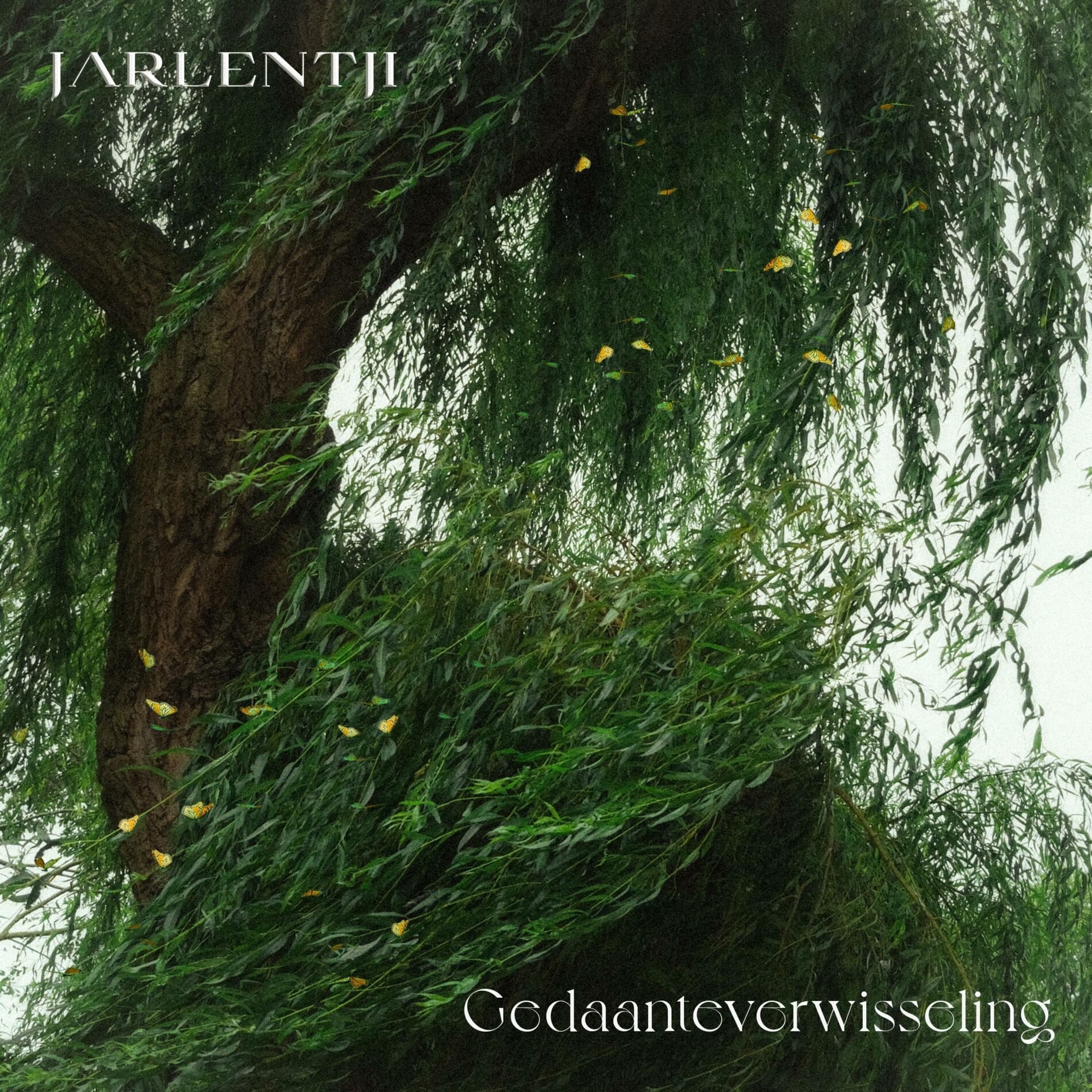 Album cover of Gedaanteverwisseling