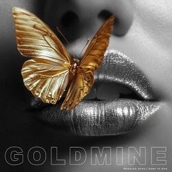 Cover of Goldmine
