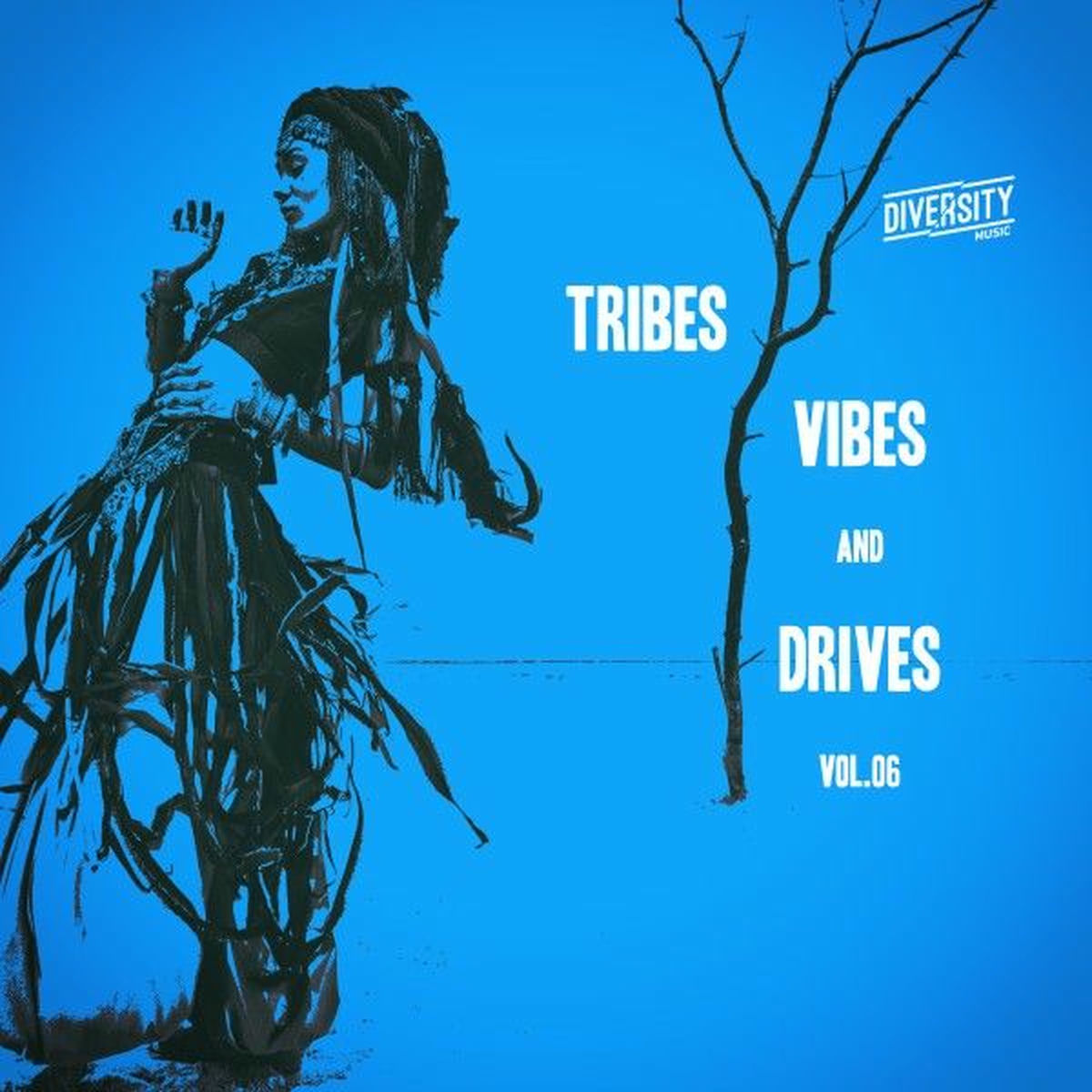 Album cover of Tribes, Vibes and Drives, Vol.06
