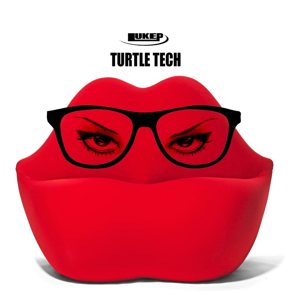 Picture of Turtle Tech