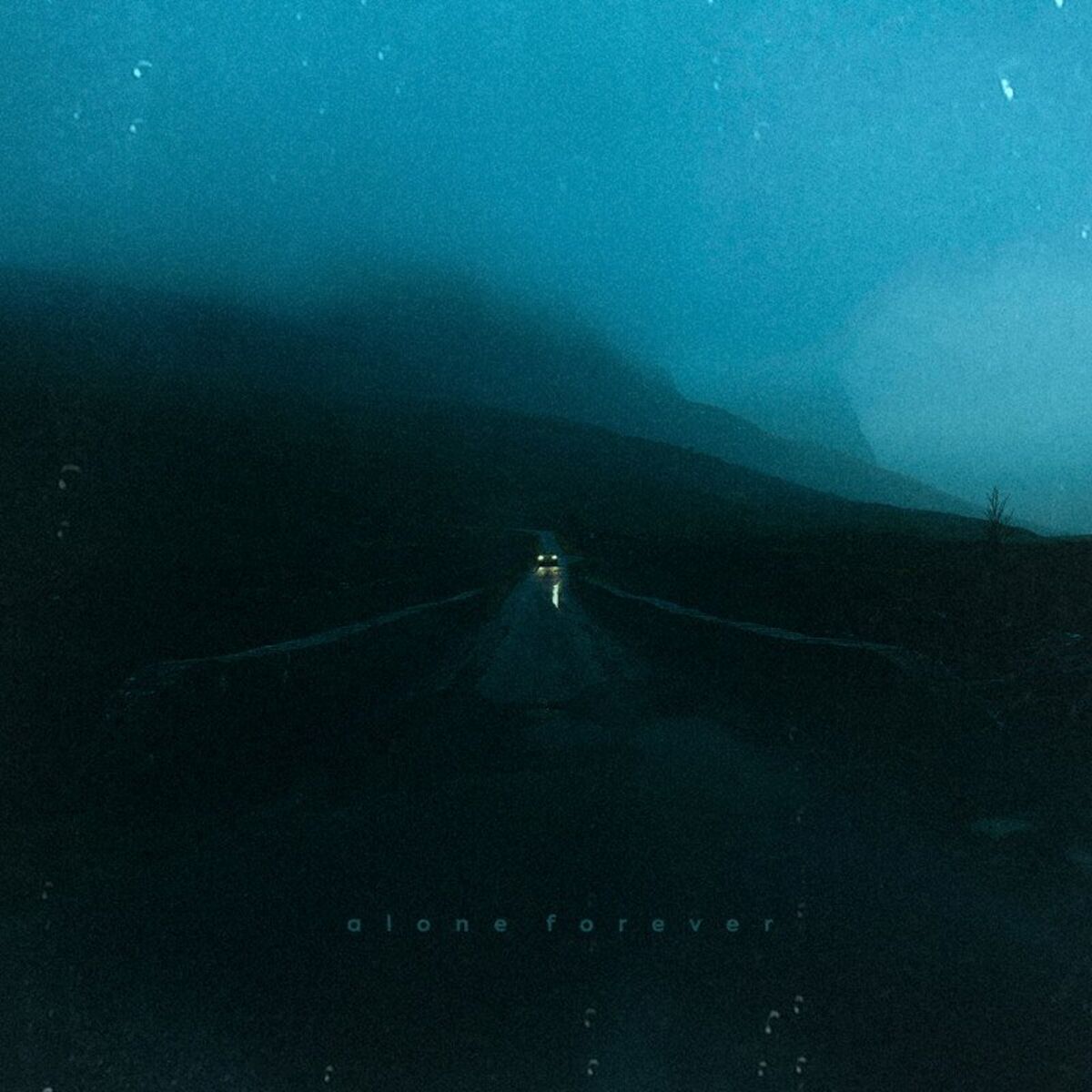 Album cover of alone forever