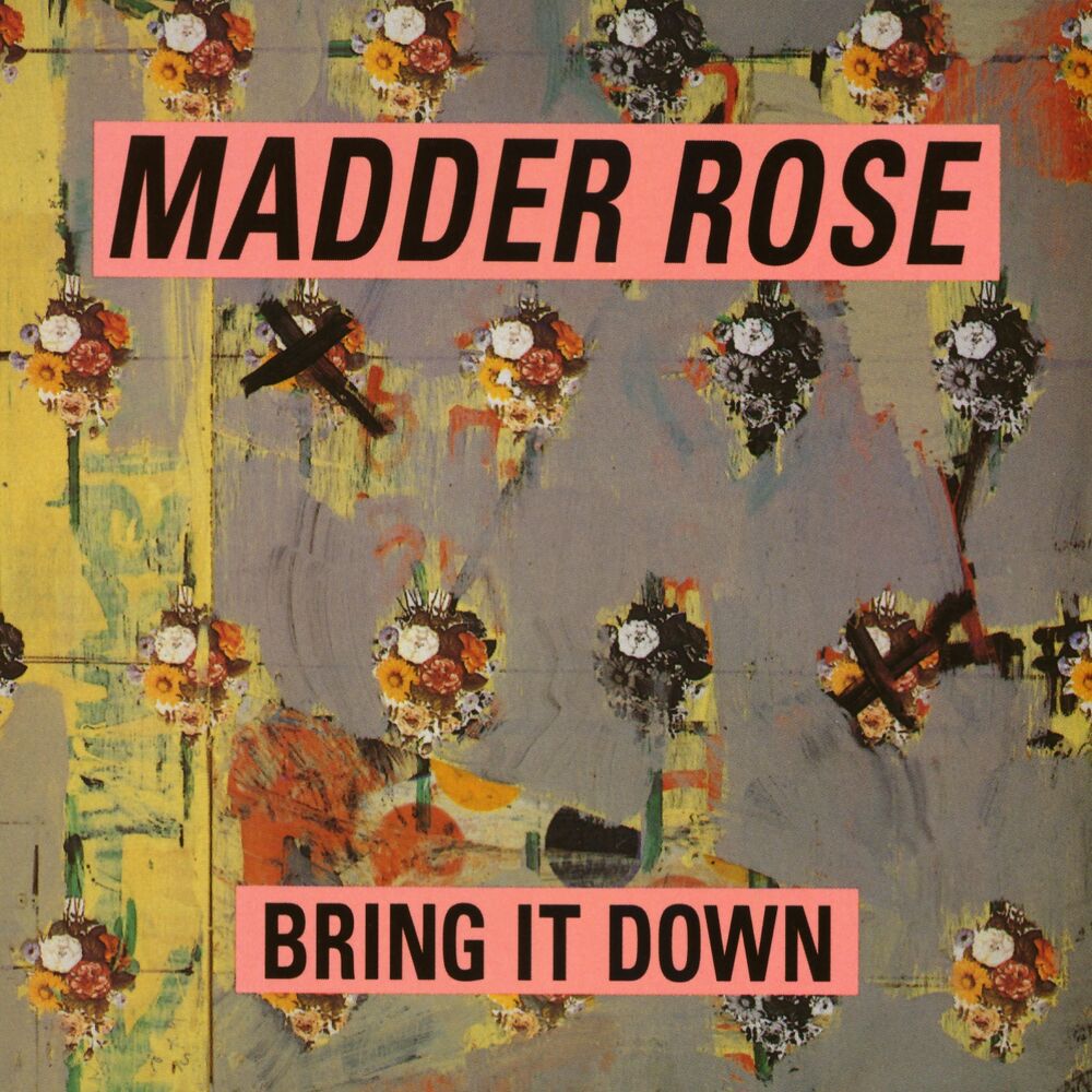 Picture of Bring It Down