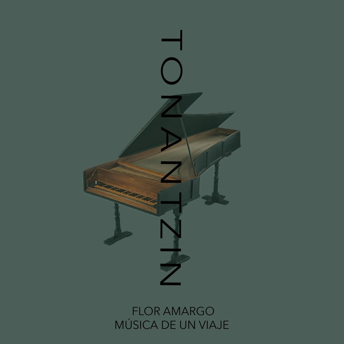 Album cover of Tonantzin