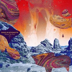 Cover of Follow the Path