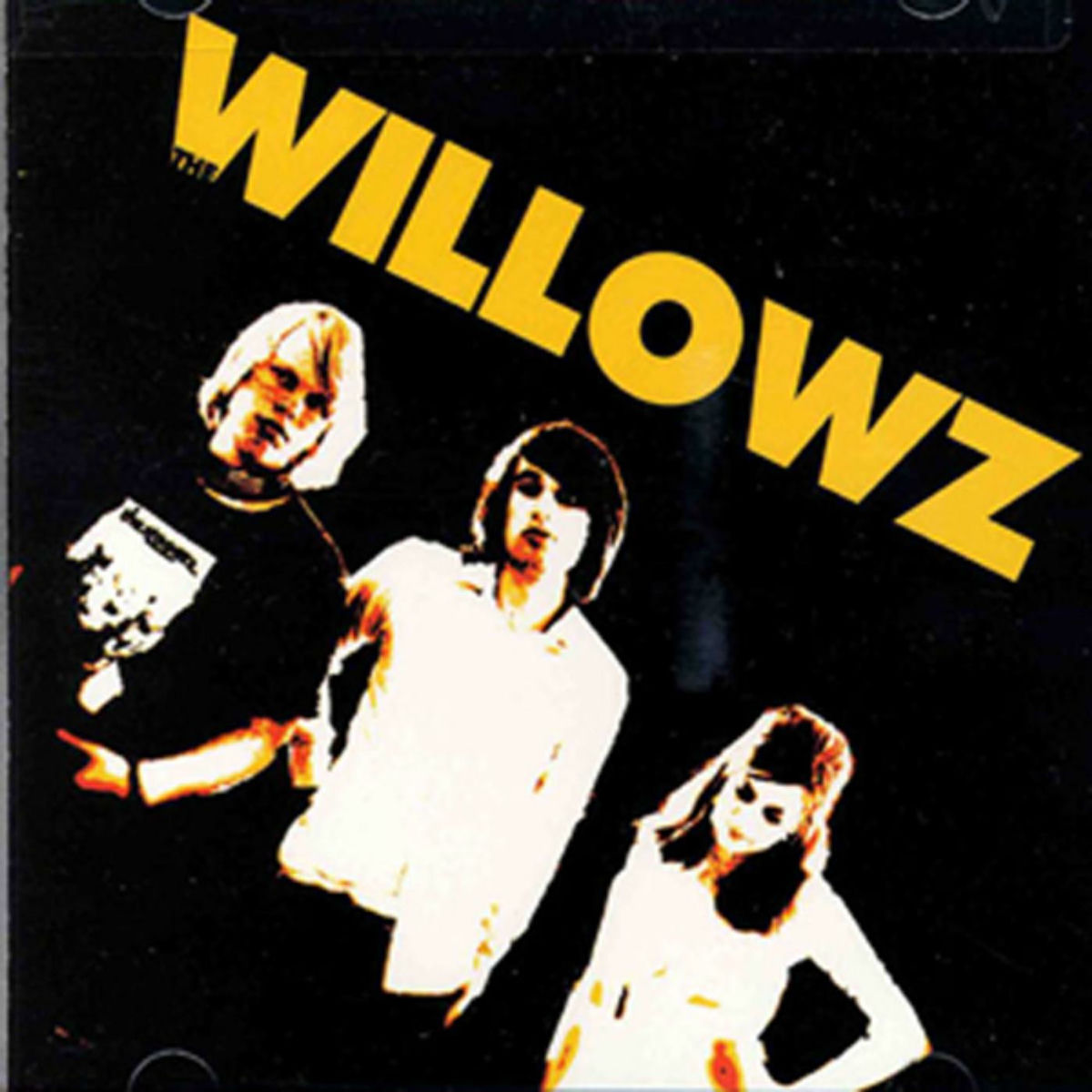 Album cover of The Willowz