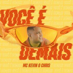 Cover of Você É Demais