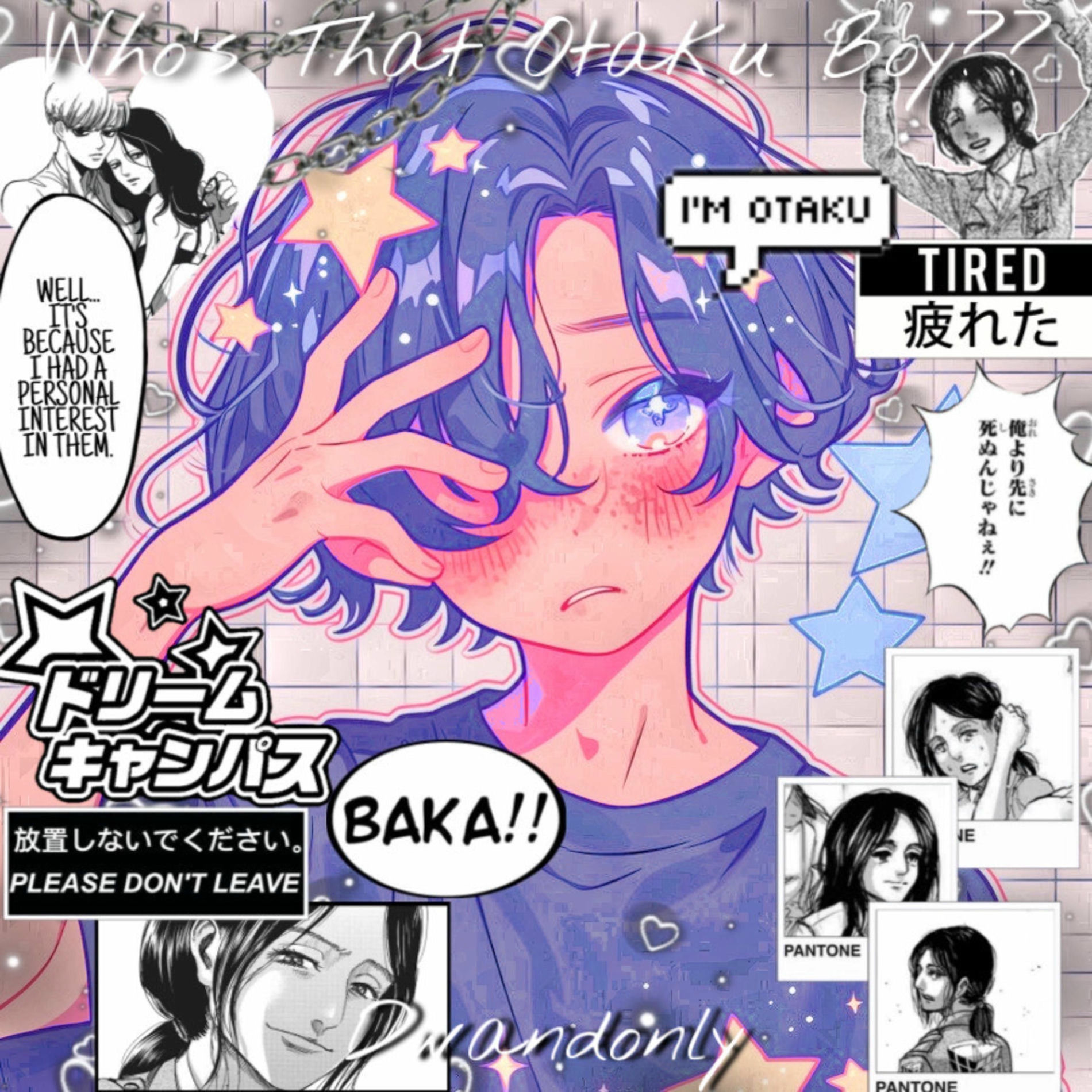 Album cover of Who's That Otaku Boy??