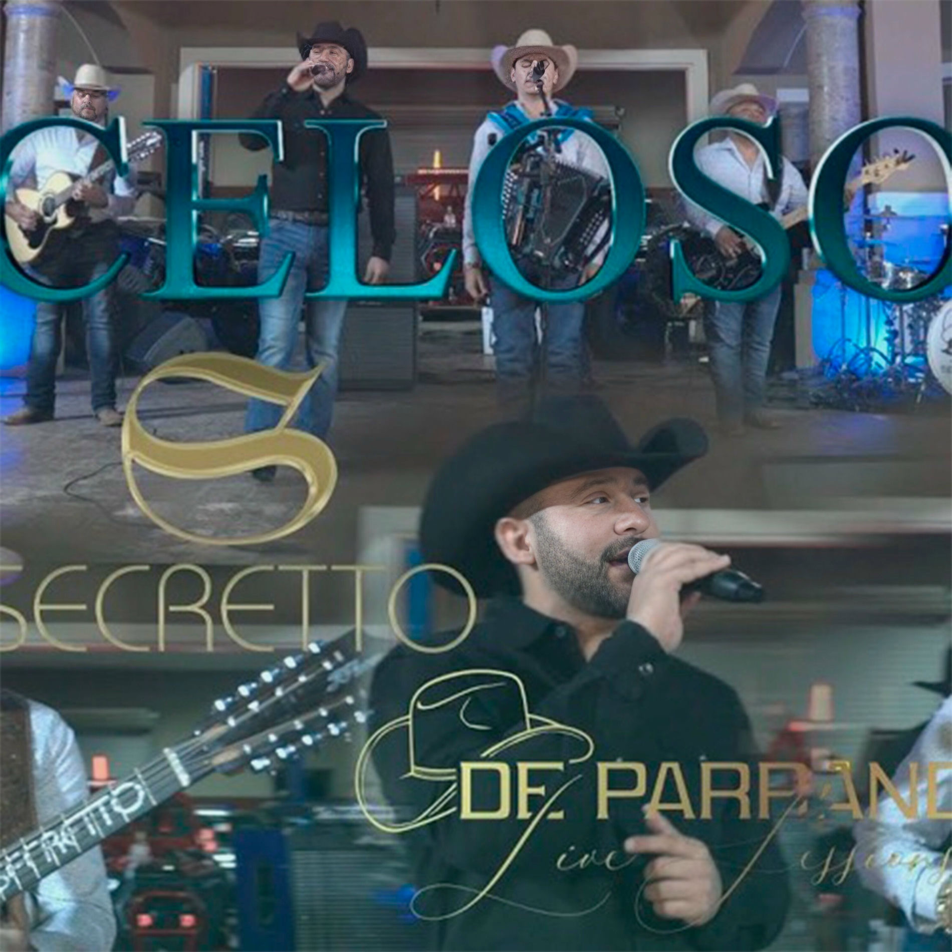 Album cover of Celoso