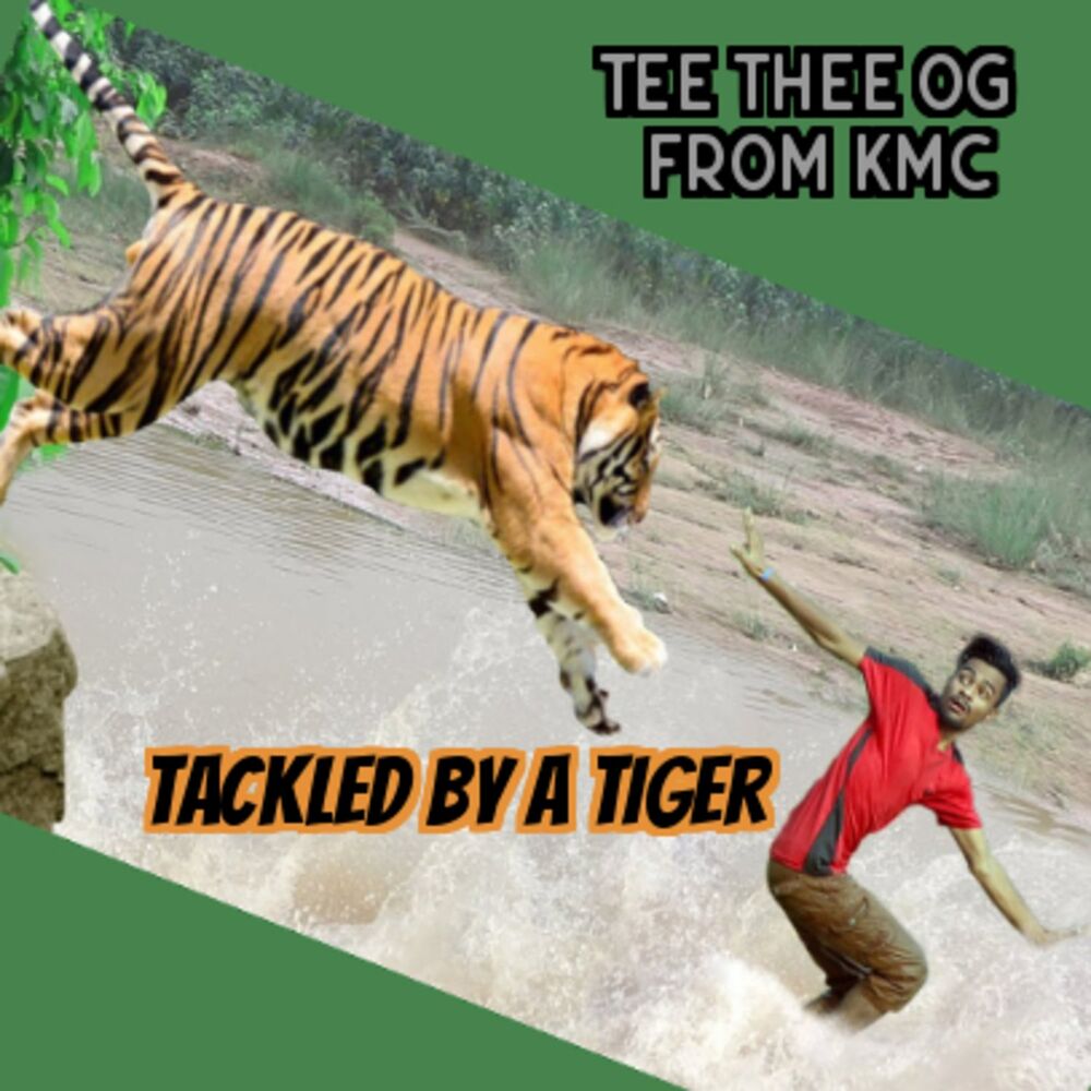 Picture of Tackled by a Tiger