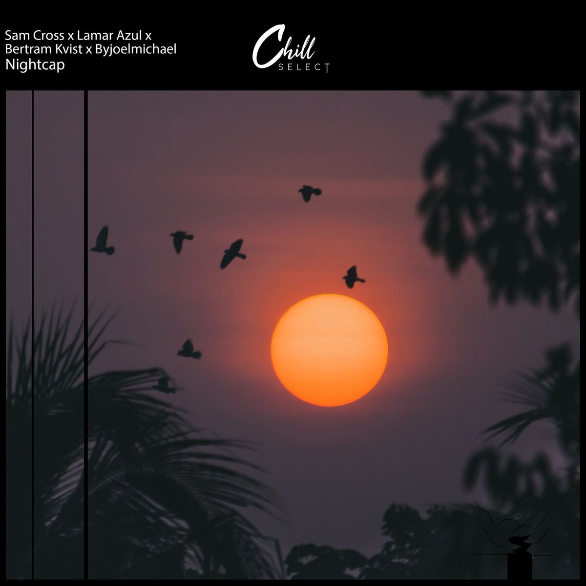 Album cover of Nightcap