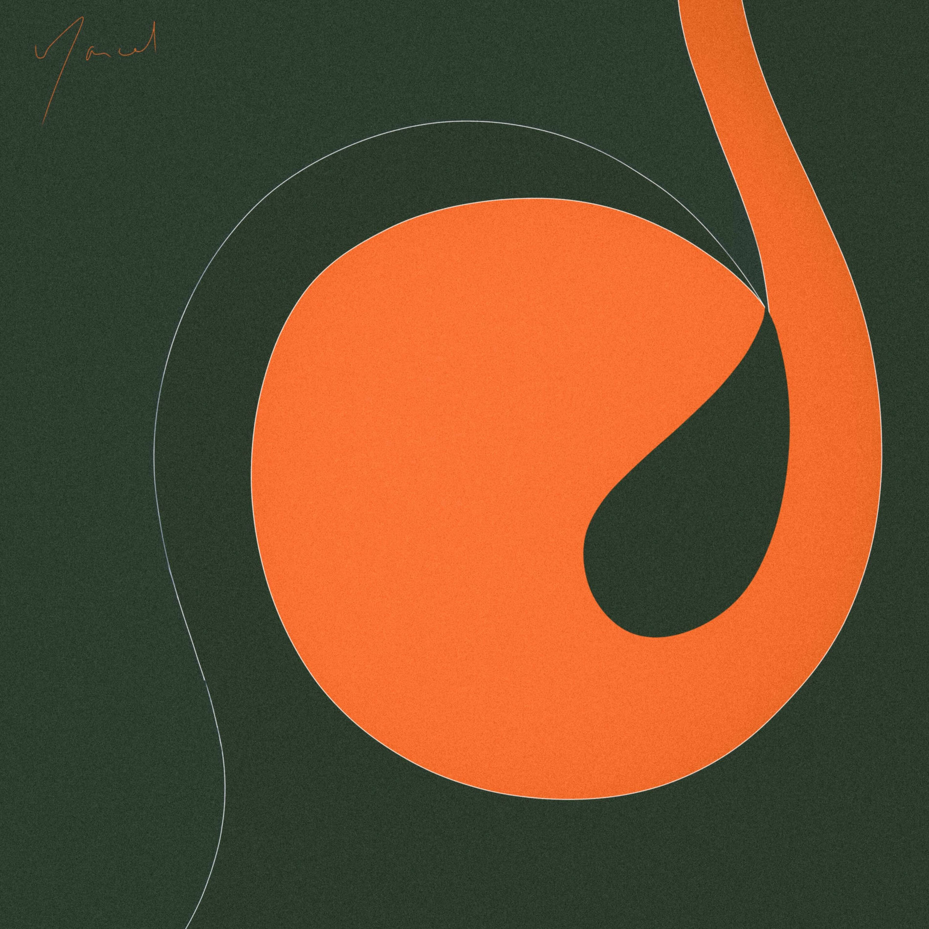 Album cover of Noir et orange