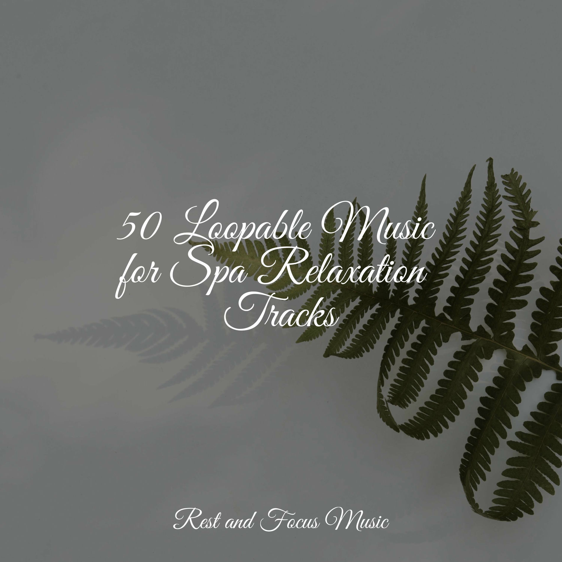 Album cover of 50 Loopable Music for Spa Relaxation Tracks