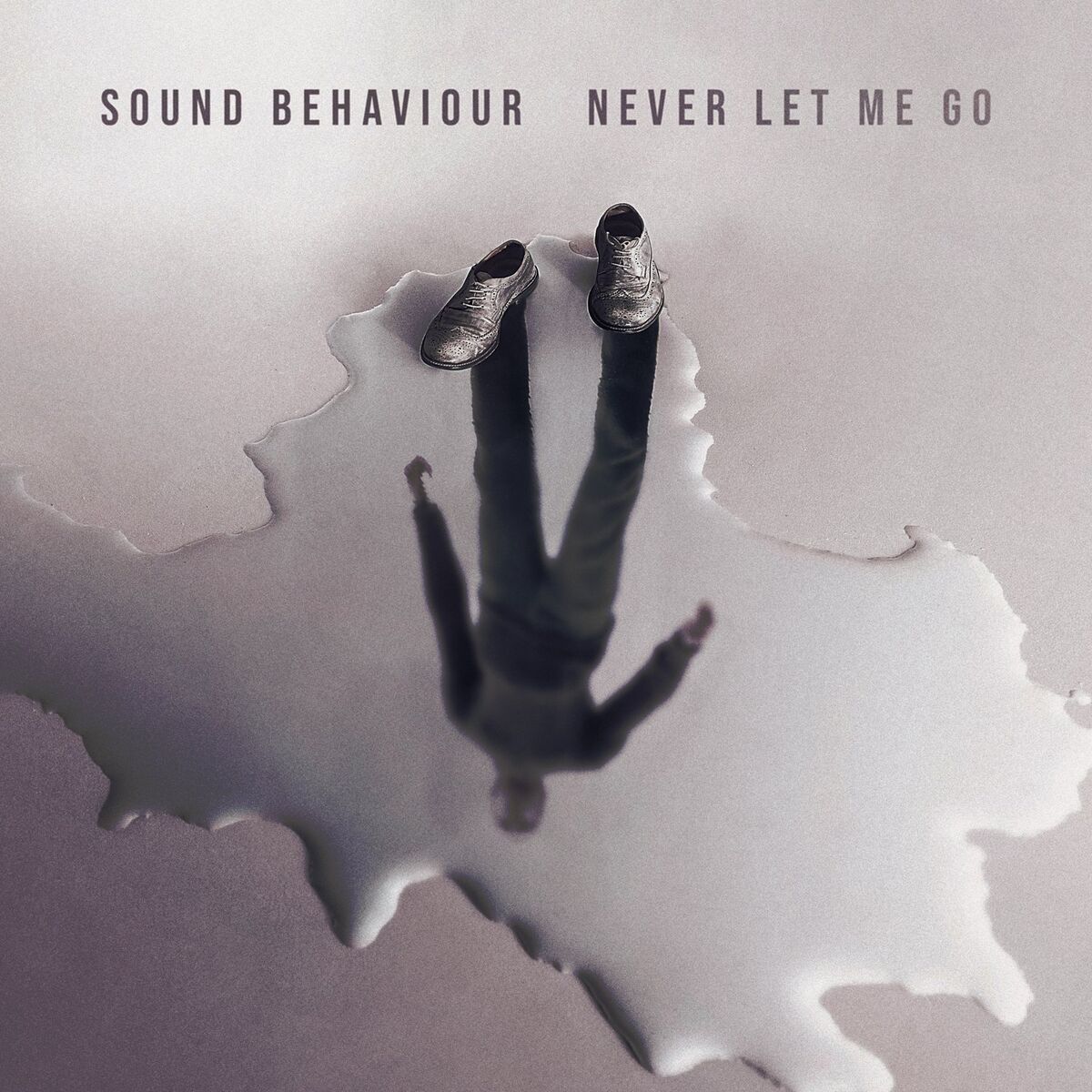 Album cover of Never Let Me Go
