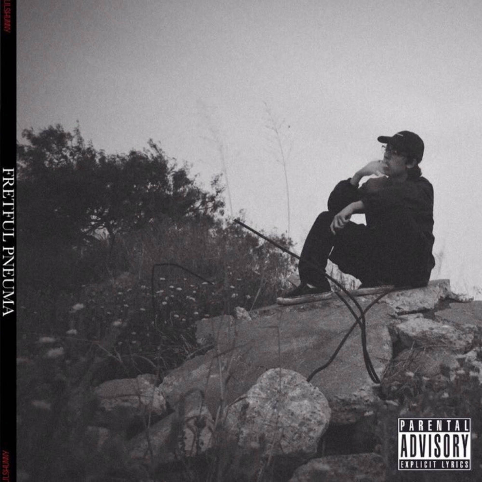 Album cover of FRETFUL PNEUMA