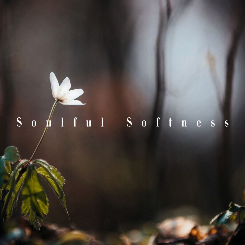 Picture of Soulful Softness: Awakening in Soft Light