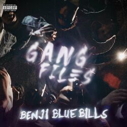 Cover of Gang Files
