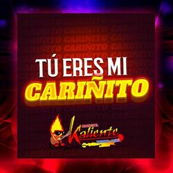Cover of Tú Eres Mi Cariñito