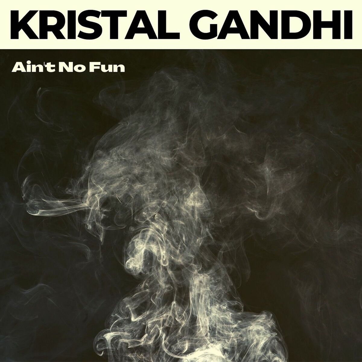 Album cover of Ain't No Fun