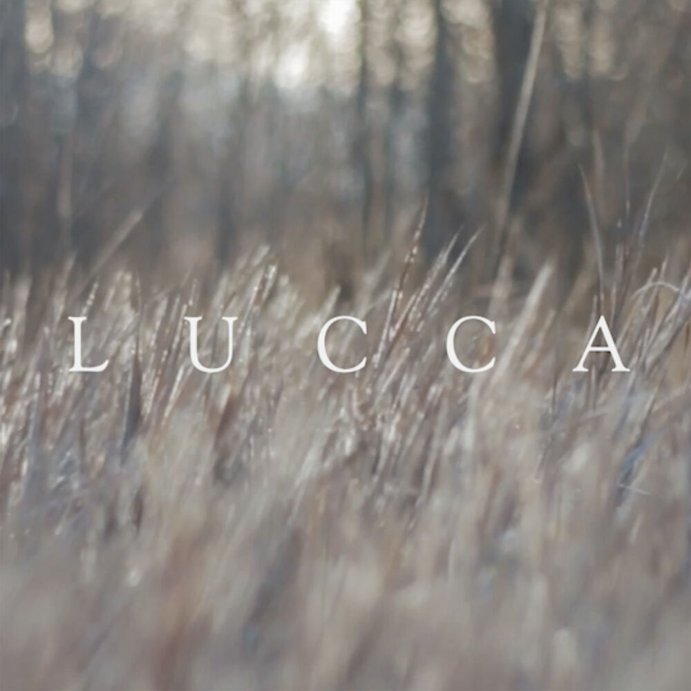 Picture of Lucca