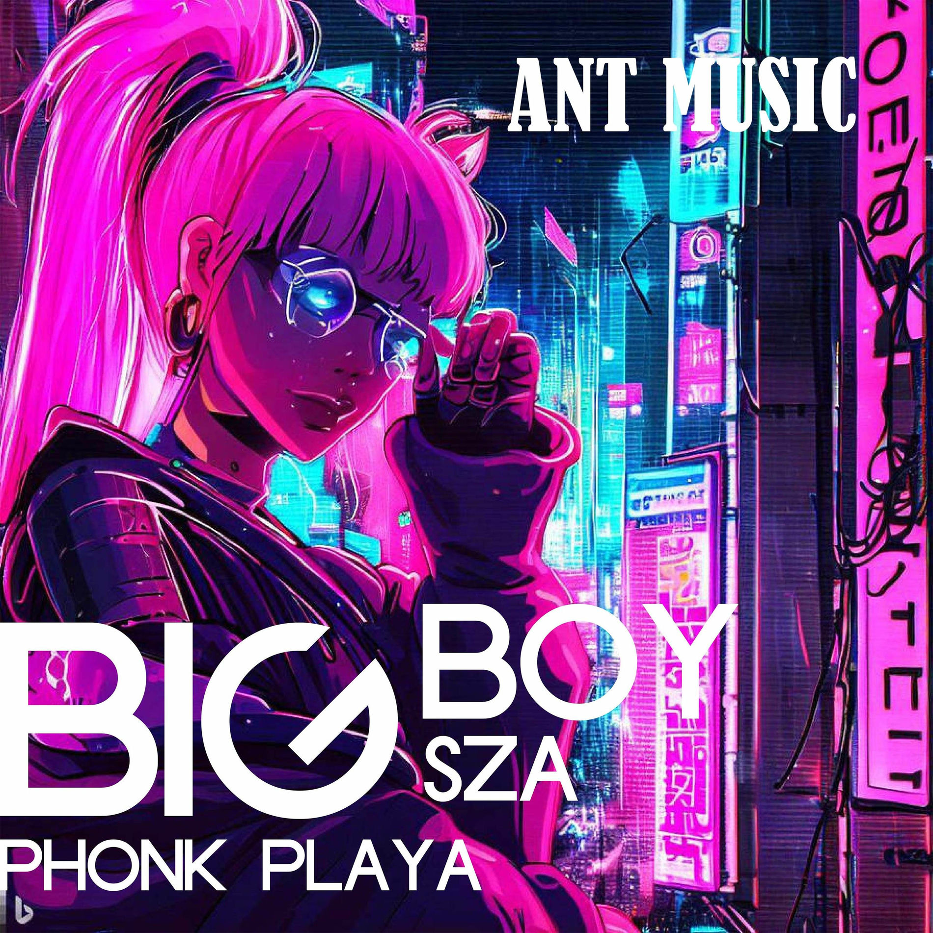 Album cover of Big Boy Sza