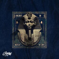 Cover of Secret ID