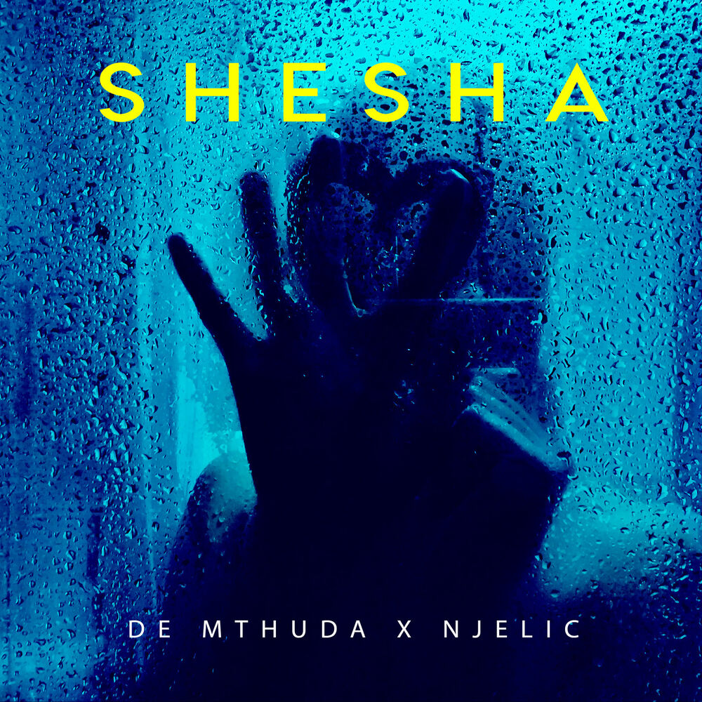 Picture of Shesha