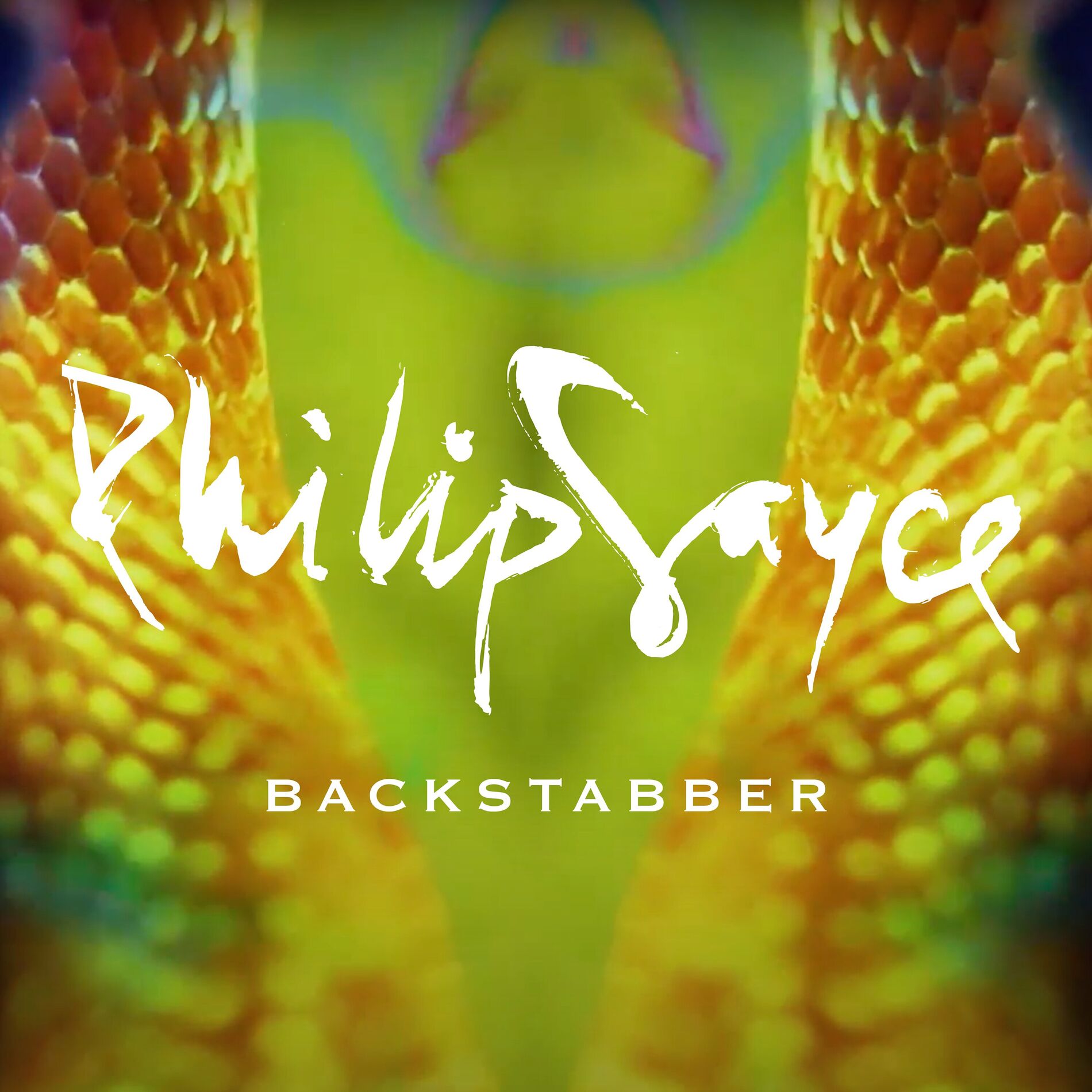Album cover of Backstabber