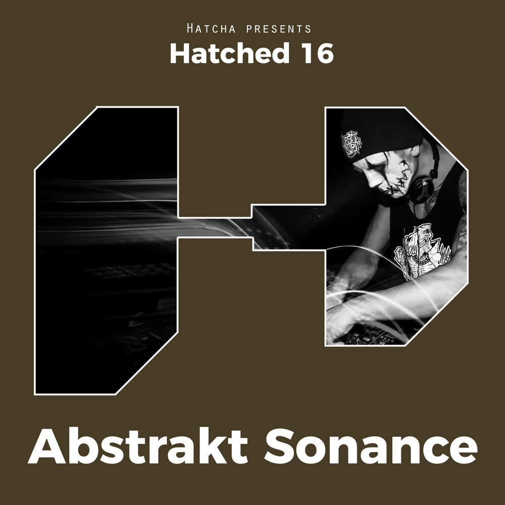 Picture of Hatched 16