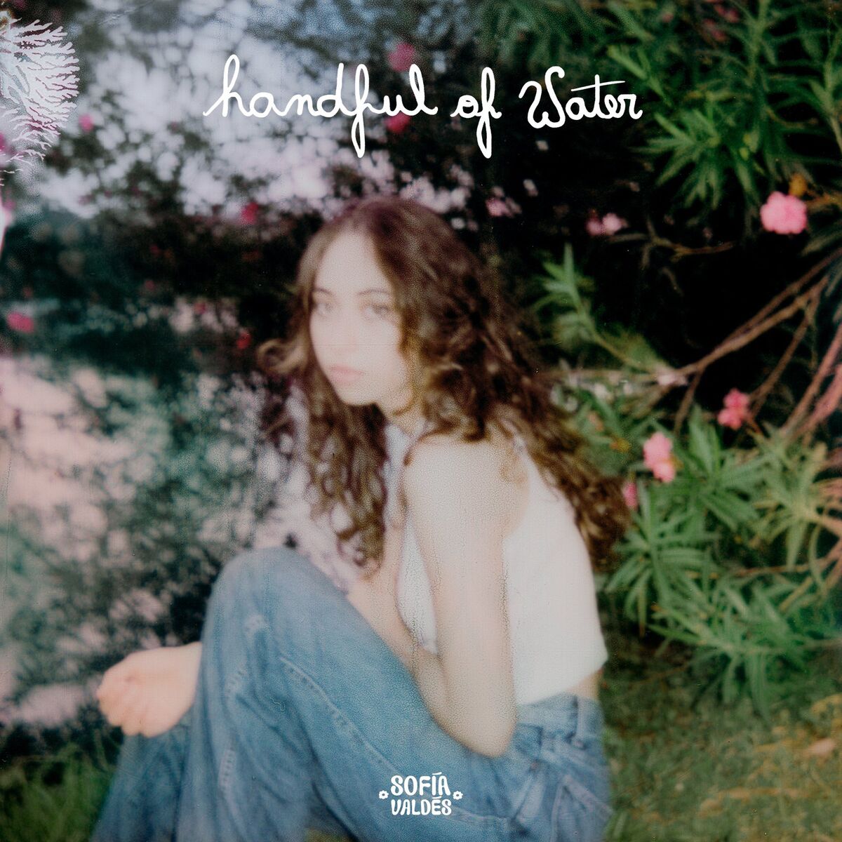 Album cover of Handful of Water