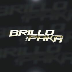 Cover of Brillo Y Paka