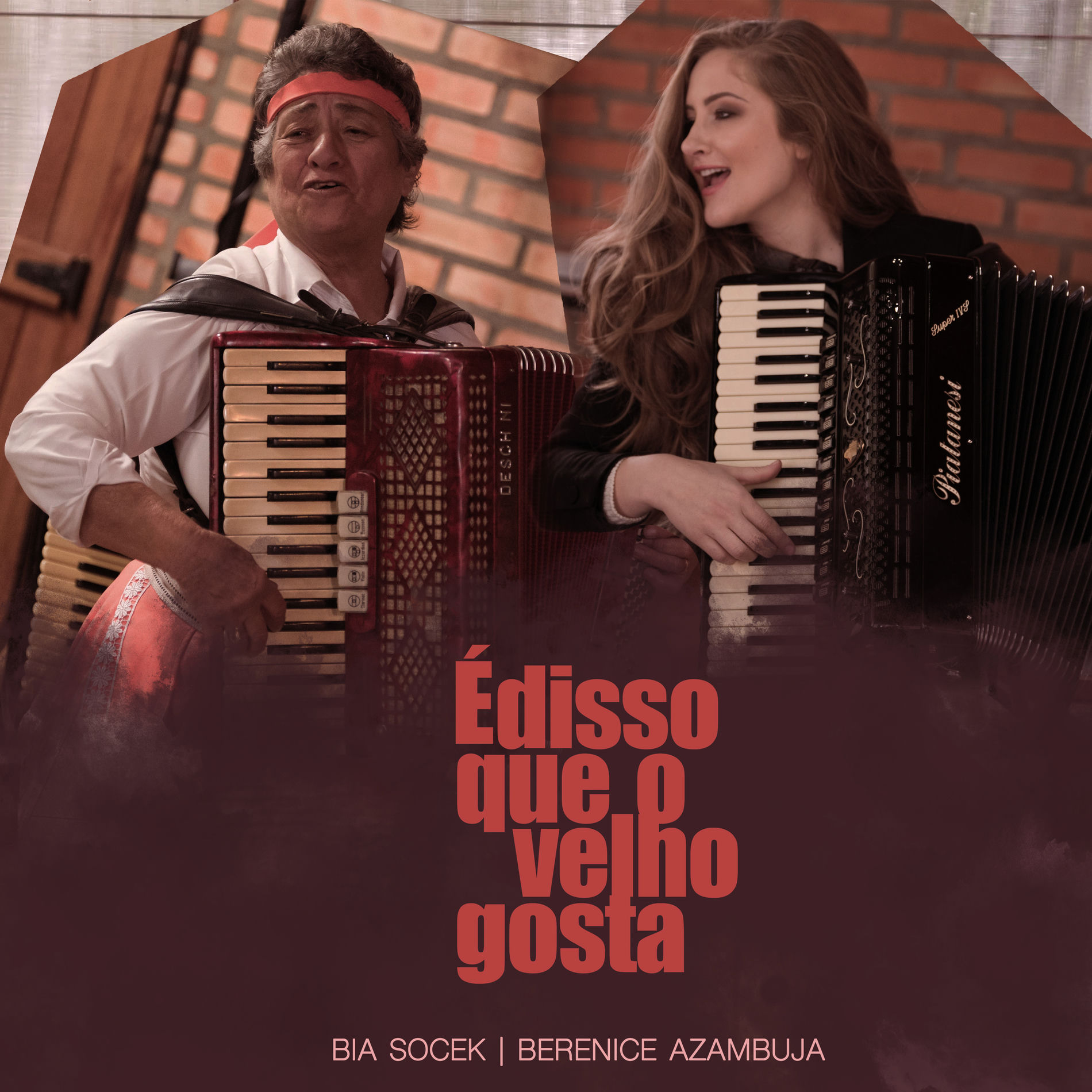Album cover of É Disso Que o Velho Gosta