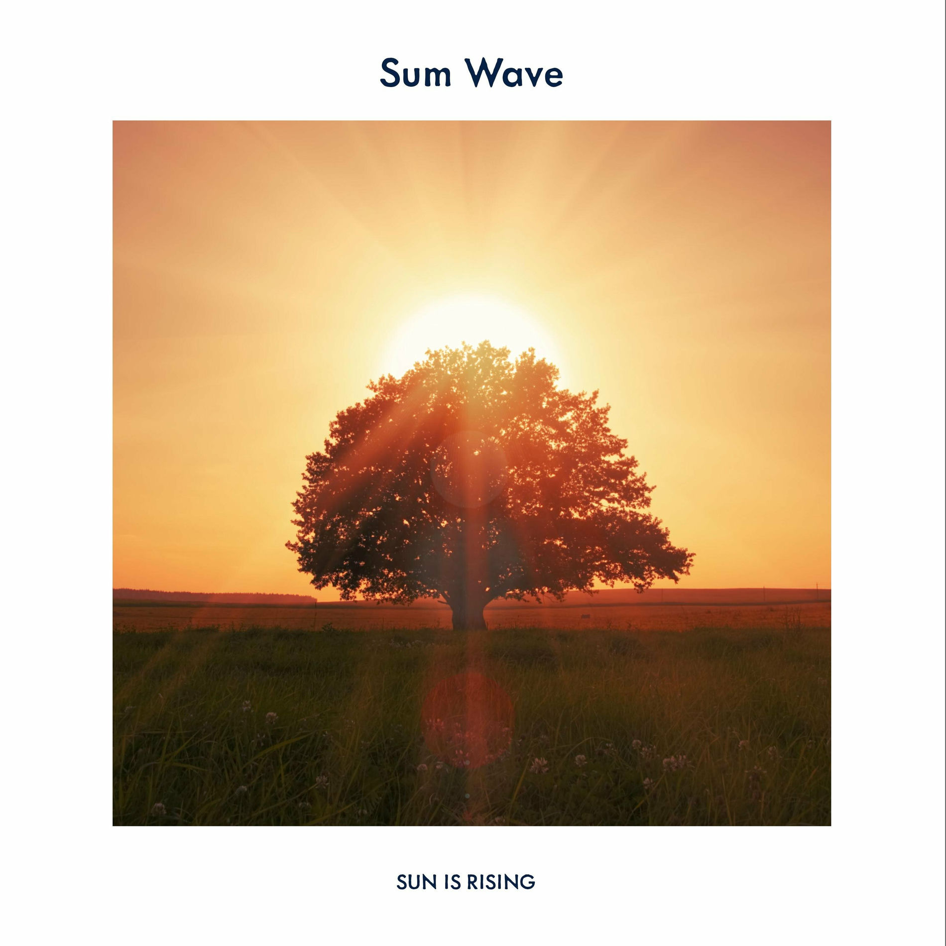 Album cover of Sun Is Rising