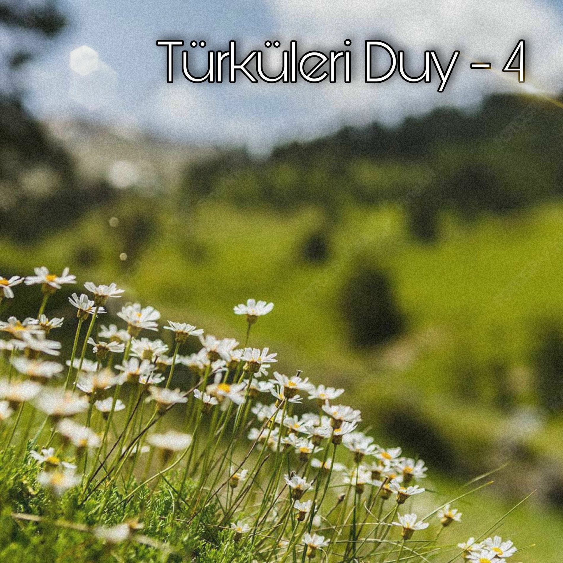 Album cover of Türküleri Duy 4