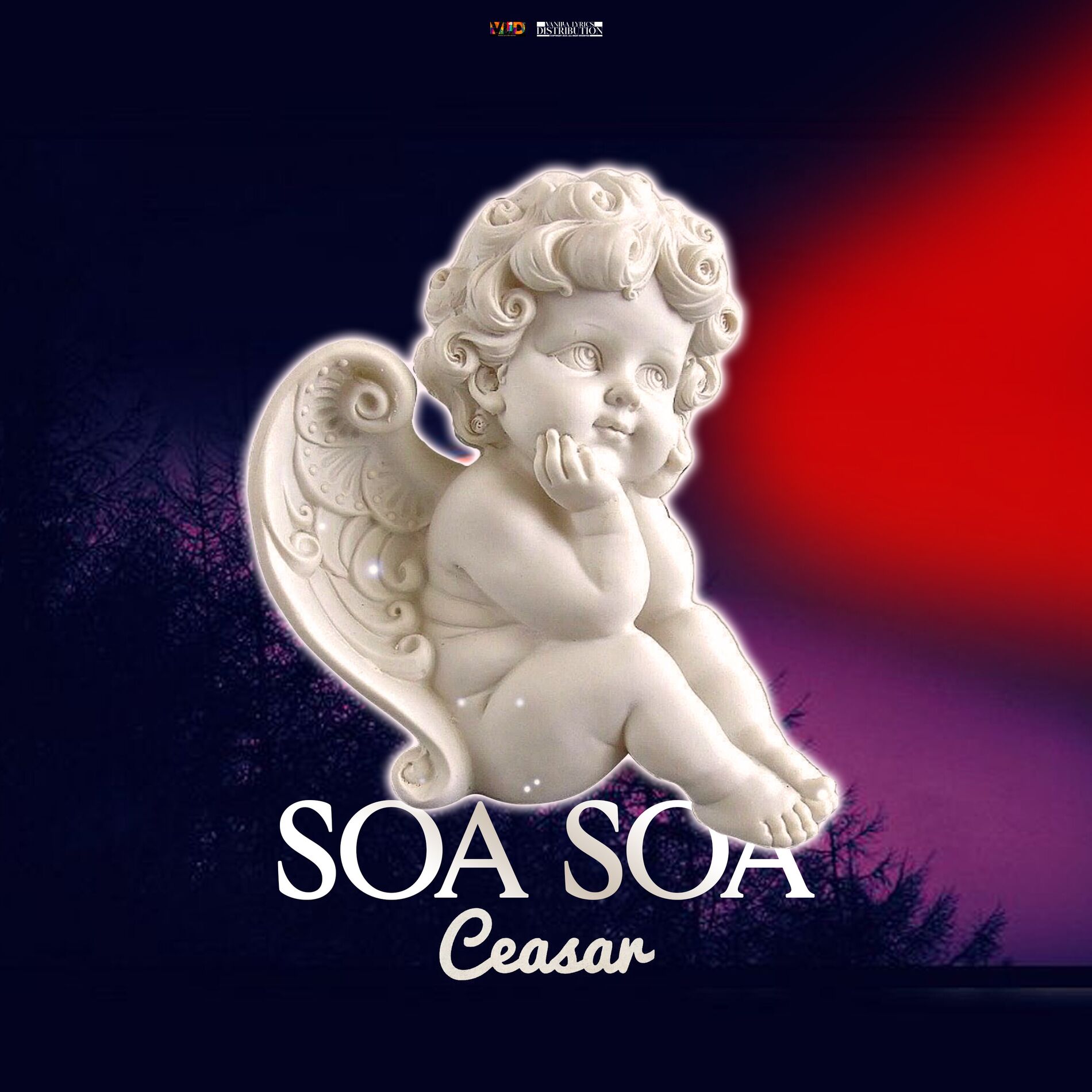 Album cover of Soa Soa (Remix)