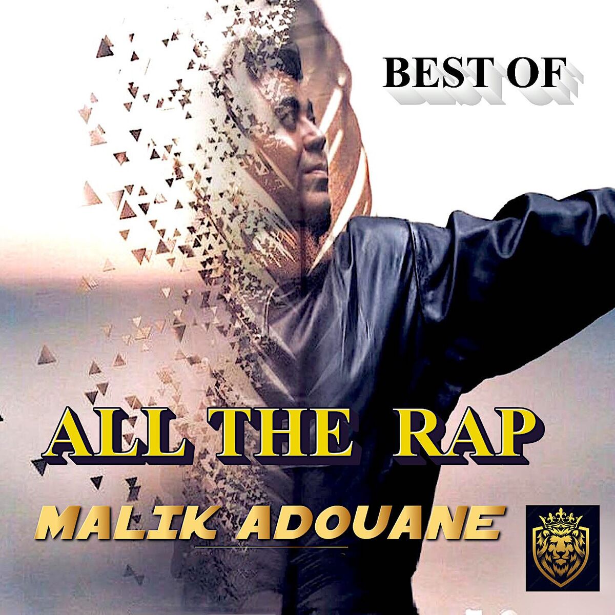 Album cover of ALL THE RAP (Best Of)