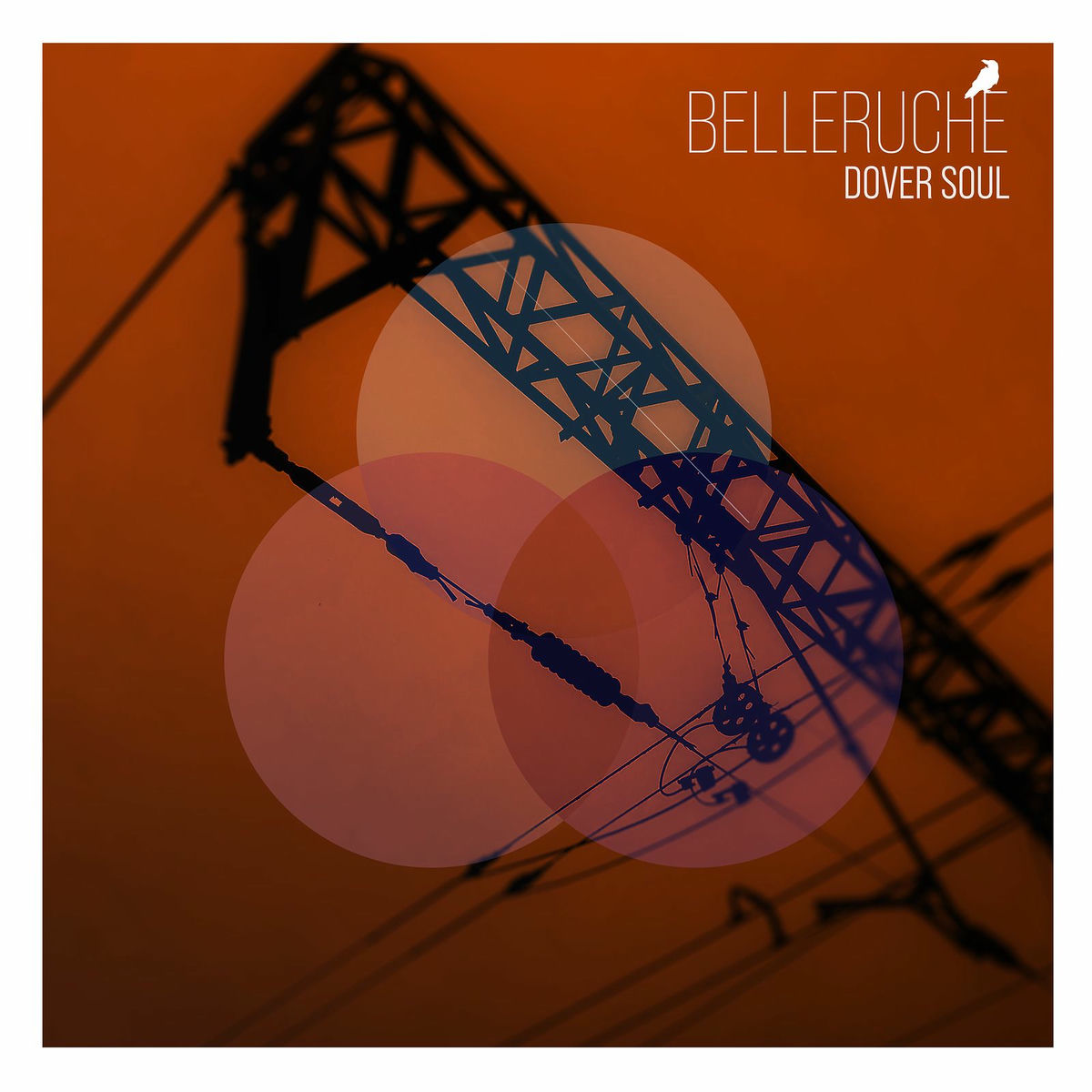 Album cover of Dover Soul