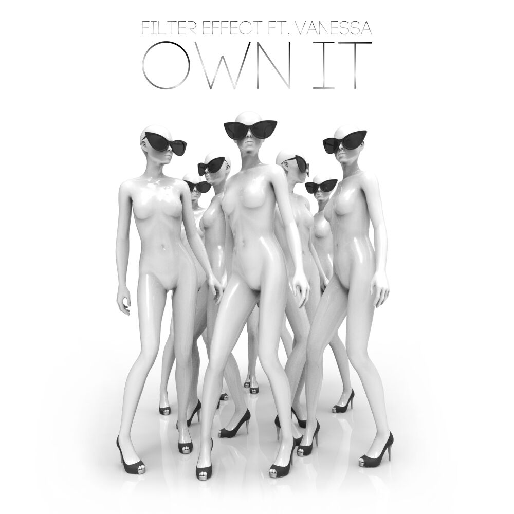 Picture of Own It