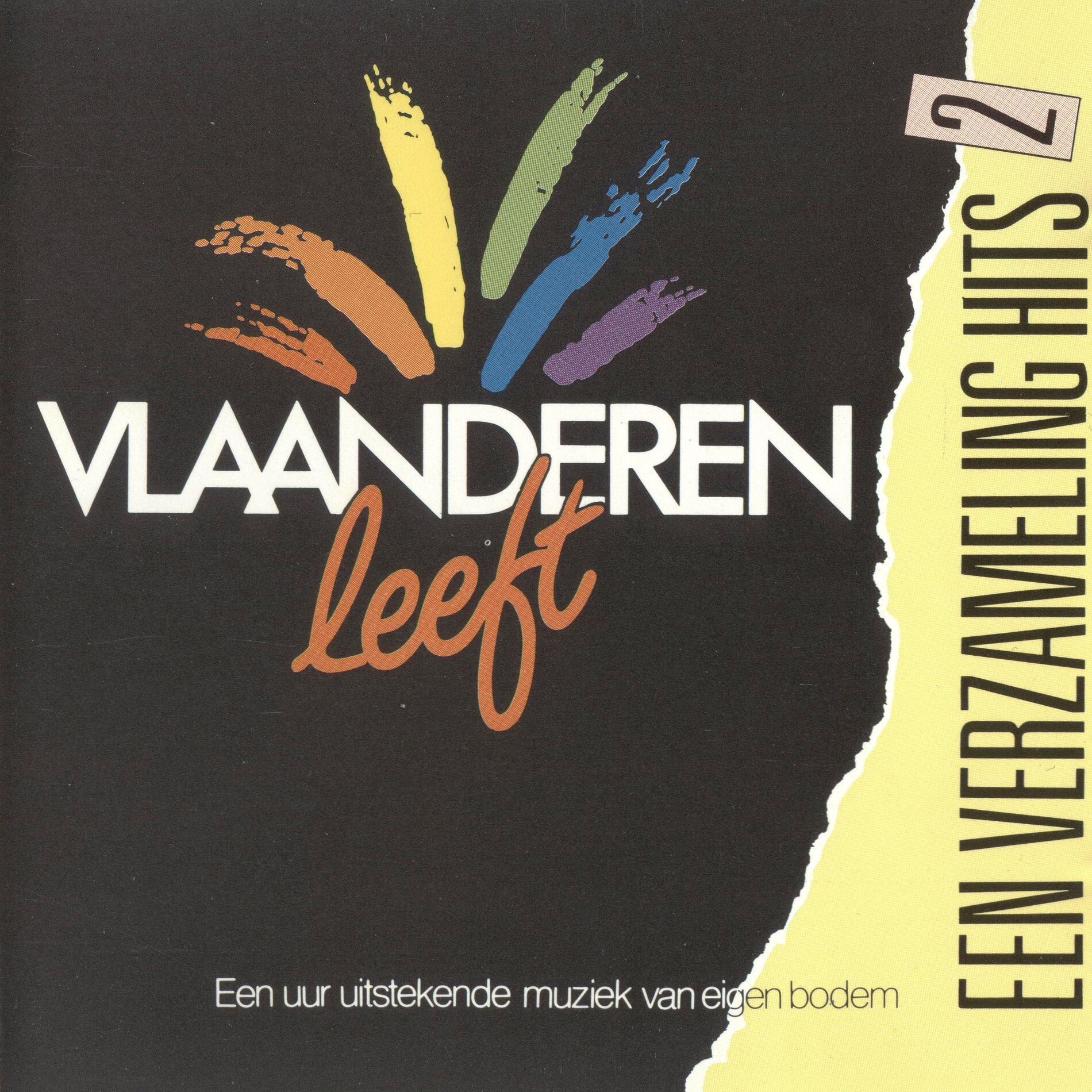 Album cover of Vlaanderen Leeft, Een Verzameling Hits 2