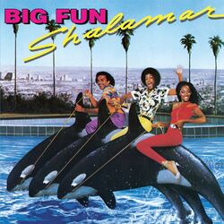 Cover of Big Fun