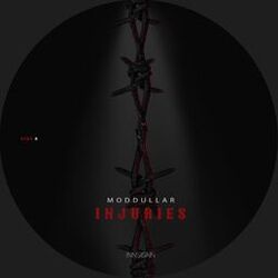 Cover of Injuries EP
