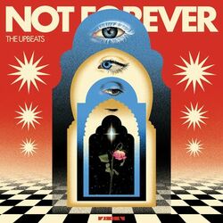 Cover of Not Forever
