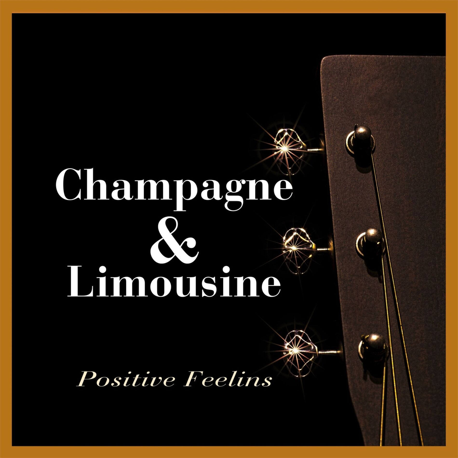 Album cover of Positive Feelins (Album)